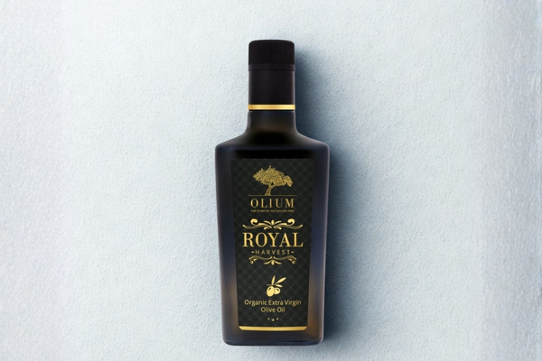 Olive harvest picking